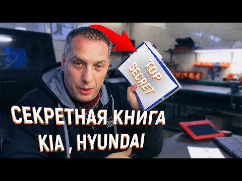 Видео: Kia Sportage G4NA застучал двигатель