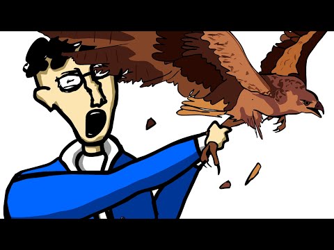 Видео: история про птичку