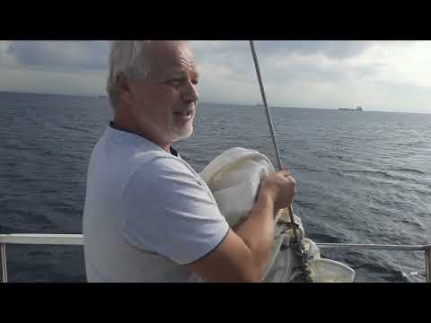 Видео: [114] Мраморное море. Тест скорости