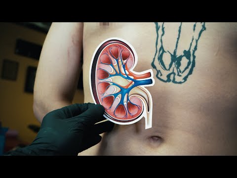 Видео: НЕТ ПОЧКИ, ЗАТО ЕСТЬ ТАТУ / ТАТУ В ТРИ РУКИ — ВЕСЬ В ТАТУ #2. Перезагрузка