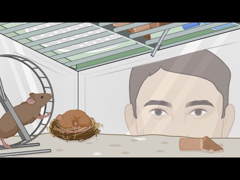 Видео: Биологический факультет МГУ им. М.В. Ломоносова