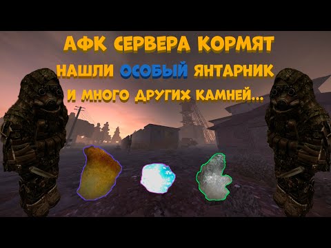 Видео: Жёстко лутаю выброс на афк севере. | Stalcraft выброс.