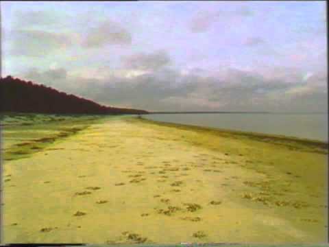 Видео: ППВК - Небо над Финским заливом