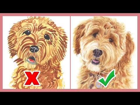 Видео: Что ДЕЛАТЬ и чего НЕ ДЕЛАТЬ — как нарисовать кудрявую шерсть собаки акварелью!