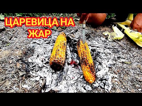 Видео: Сладка царевица, печена на жар! С краве масло и сол е направо неустоима! Вкусът на миналата младост!