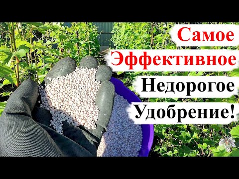 Видео: Как ДЁШЕВО и ЭФФЕКТИВНО ПОДКОРМИТЬ Виноград!