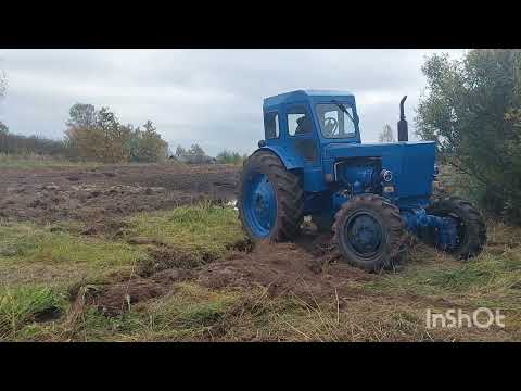 Видео: осенняя пахота (Т40ам 😎)