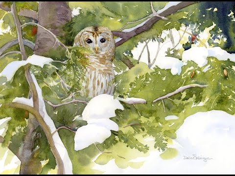 Видео: Научитесь рисовать полосатую неясыть на вечнозеленом дереве акварелью