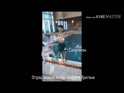 Видео: Знаки зодиака как мемы из Тик Тока