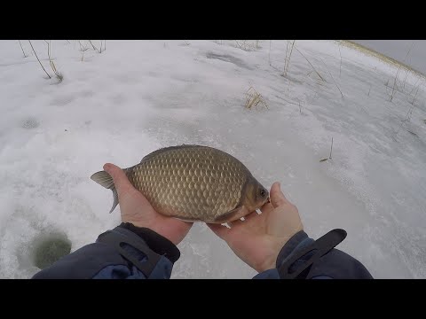 Видео: ОТОРВАЛИСЬ ПО КАРАСЮ. Ловля карася со льда весной.