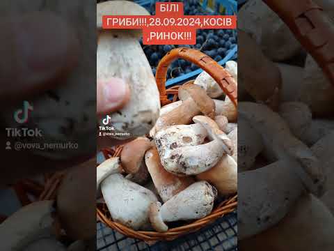 Видео: Білі гриби 28.09.2024 #базар #food #travel