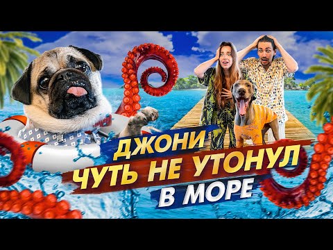 Видео: ДЖОНИ ЧУТЬ НЕ УТОНУЛ В МОРЕ 😭