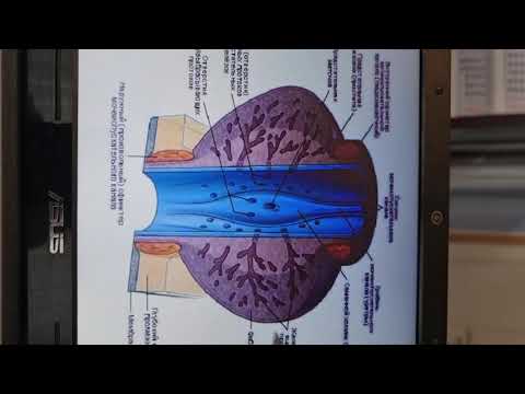 Видео: Агар асбоб яхши турмаса ва тез бушалиш булса?