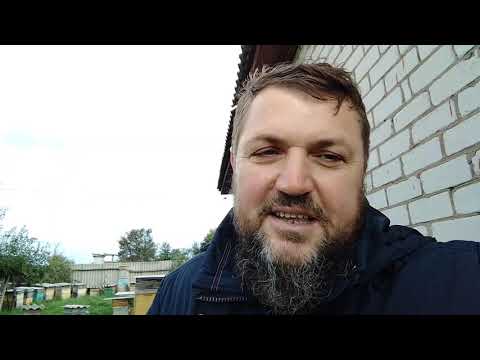 Видео: Дым пушка обман для пчеловода