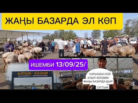 Видео: ПРИГОРОДНЫЙ МАЛ БАЗАР Бишкекте АЛТЫН КАЗЫК БАЩАРЫ ИШЕМБИ КҮНҮ КЫЗУУ БОЛДУ 13-СЕНТЯБРЬ 2025ж 