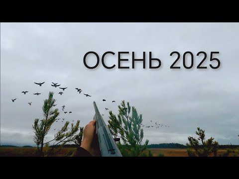 Видео: ОХОТА НА ГУСЯ / ОСЕНЬ 2025 / КАРЕЛЬСКИЕ БОЛОТА / GOOSE HUNTING 2025