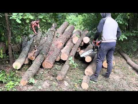 Видео: На таку роботу приємно дивитися👍👍👍