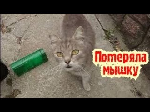 Видео: 15 сентября 2025 г.