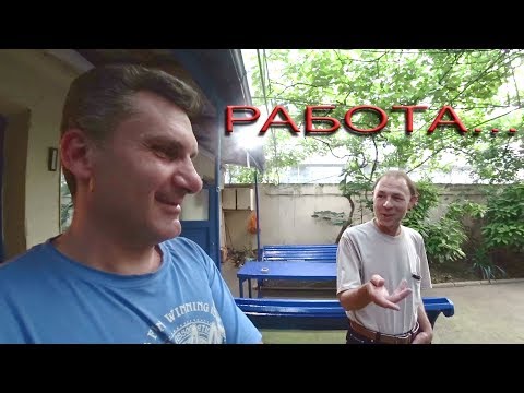 Видео: АДЛЕР. РАБОТА , КОШКА И ОКРОШКА ..