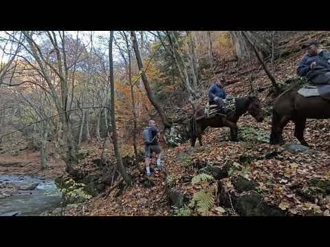 Видео: Есен в сърцето на Стара планина - Карлово - х. Васил Левски 