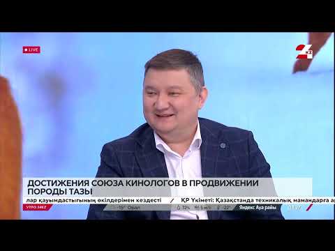 Видео: Достижения Союза кинологов в продвижении породы тазы. Бауыржан Сериккали