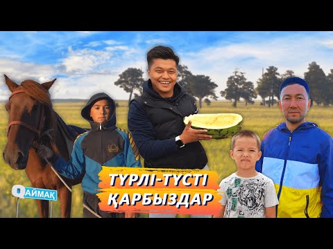 Видео: Qаймақ: Шарбақты ауылы