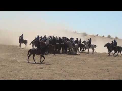Видео: НҰРАСЫЛ сундет той көкпари 7 Пахтакер ауылы 11.09.2021 жыл