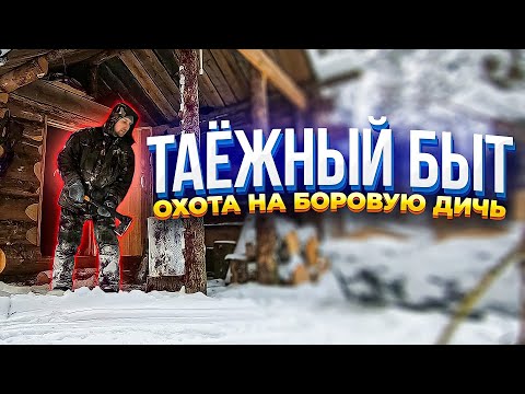 Видео: Зимовье,охота на боровую дичь,берлога,таёжный быт