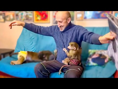 Видео: Люська- ШАЛЬНАЯ ИМПЕРАТРИЦА! Как Люська и Степка вешали новые занавески!