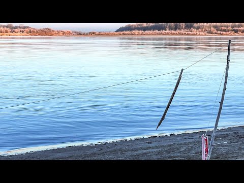 Видео: ЭТА СНАСТЬ КОСИТ РЫБУ! НАЛИМЫ И ЛЕЩИ САДЯТСЯ ПО ДВА ЗА РАЗ!