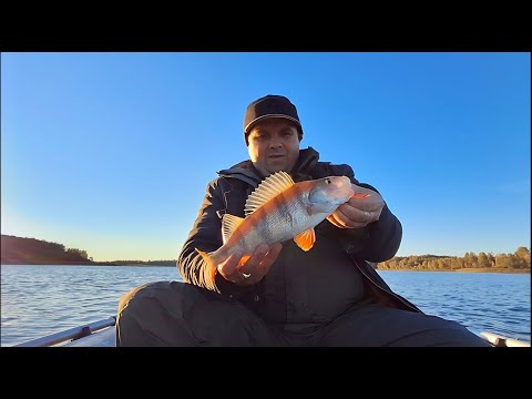 Видео: Судак Бастует | Рыбалка на Вазузском Водохранилище