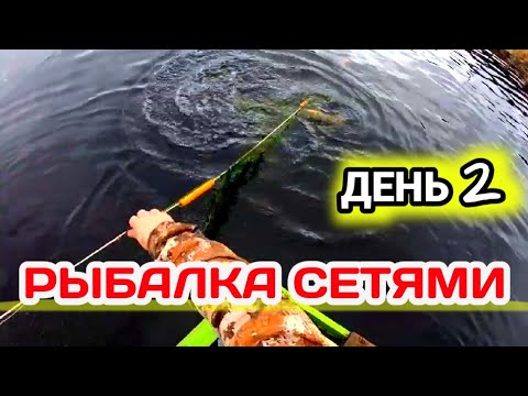 Видео: Весенняя Рыбалка сетями на Лесном Озере | День 2
