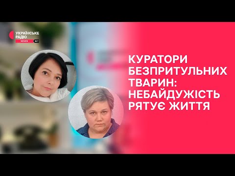 Видео: Майже 160 тис гривень щомісяця на годування безпритульних тварин | Праймвечір. Акценти