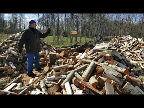 Видео: Раек.