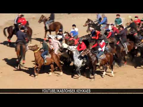Видео: Бузкаши Теракли 17.12.2022 Улок Купкари спонсор Бердикул хожи Жавлонбек Кенжаев полный версия
