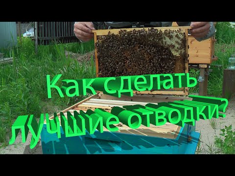 Видео: Профессор Кашковский: Отводки какой силы формировать для максимальной отдачи?