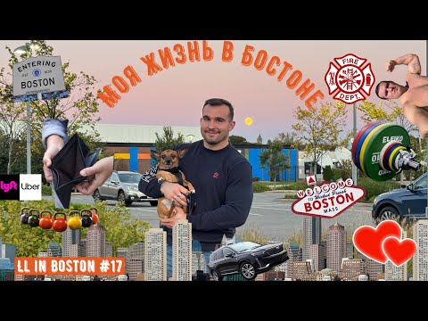 Видео: Моя жизнь в Бостоне / LL in Boston #17