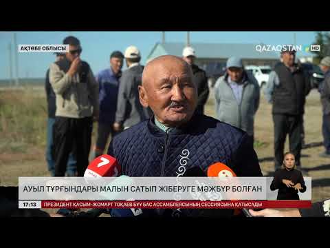 Видео: Ақтөбе облысында жайылым жерге талас көбейді