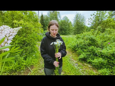 Видео: СЪЕЗДИЛИ НА ДАЧУ