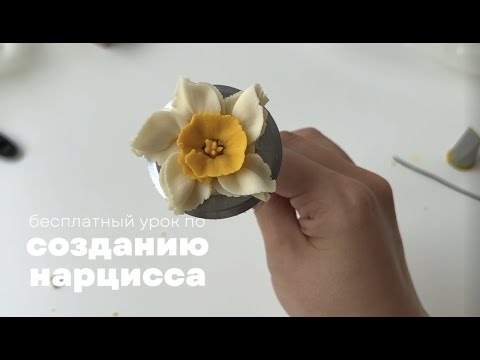 Видео: КРЕМОВАЯ ФЛОРИСТИКА.  Как сделать нарцисс из крема