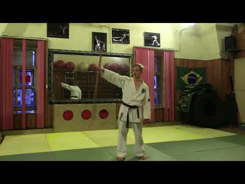 Видео: Шест Дзё, часть два -одноручное оружие