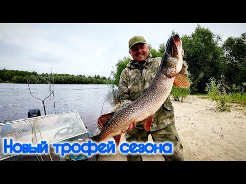 Видео: ОЧЕРЕДНОЙ ТРОФЕЙ СЕЗОНА 2025