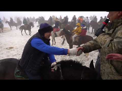 Видео: Қасқасу Көкпар