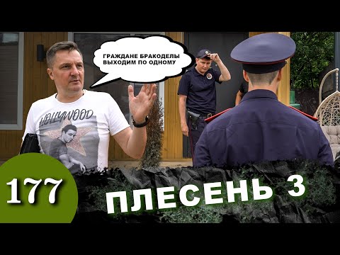 Видео: Шухер за миллион / Откройте, Полиция / Бегство