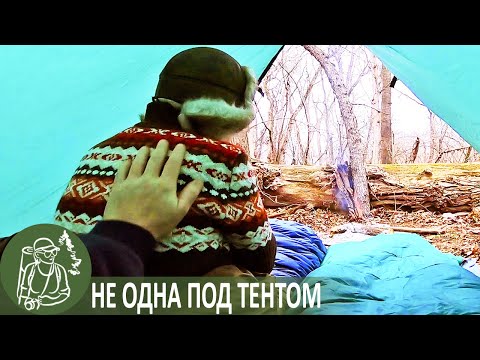 Видео: ⛺ Ночевка вдвоем под тентом | Зимний бушкрафт-поход в лес