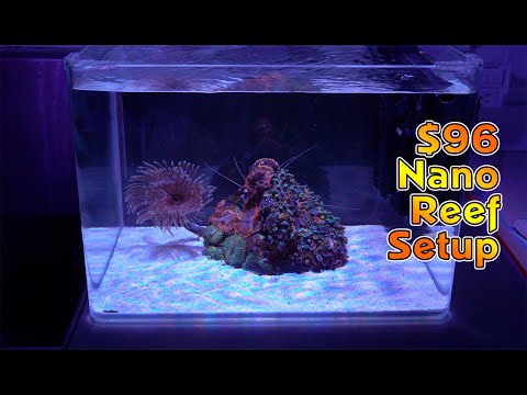 Видео: Установка Bare Bones Nano Reef всего за 96 долларов
