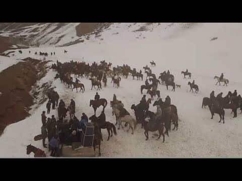 Видео: Аламан | Алай, Будалык 04.02.2024