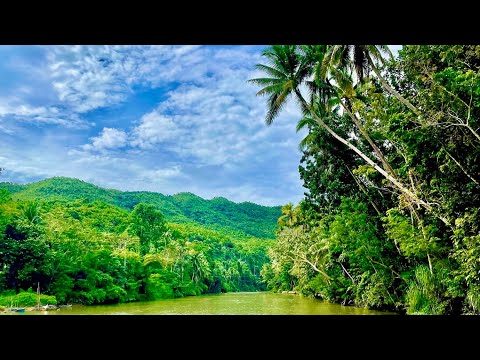 Видео: Бохоль, Филлипины 2024. Шоколадные Холмы. Долгопяты, Chocolate Hills, Лемур торсиер (Torsier monkey)