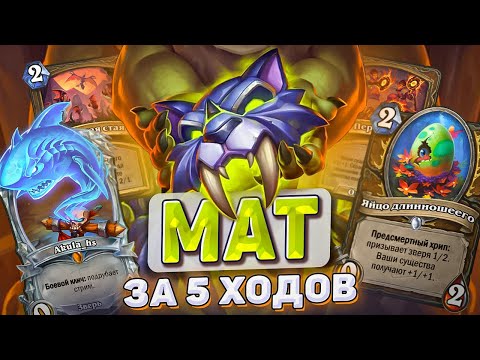 Видео: МАТ ЗА 5 ХОДОВ l Hearthstone l Akula