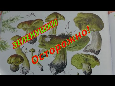 Видео: ОСТОРОЖНО! ОКАЗЫВАЕТСЯ ЗЕЛЕНУШКА ОПАСНА! ХОТЯ ВСЕГДА СОБИРАЛ! Прогулка с МАЛЫШОМ!